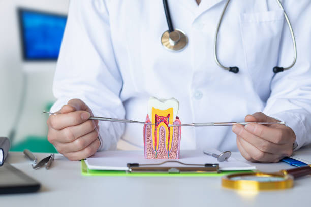 Best Emergency Tooth Extraction in Sand Point, AK